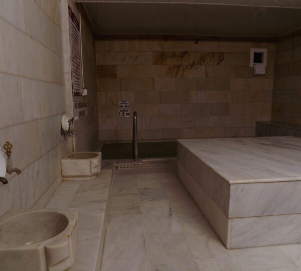 Klasik Türk Hamamı ve steril havuz mozaiğini keşfedin.